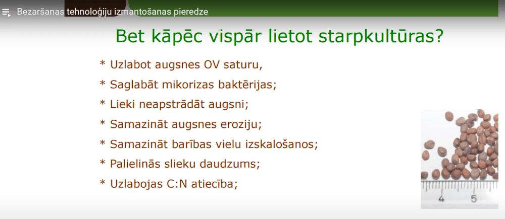 Starpkultūras. SIA “Krastmaļi Sēklas” pieredze. (VIDEO)