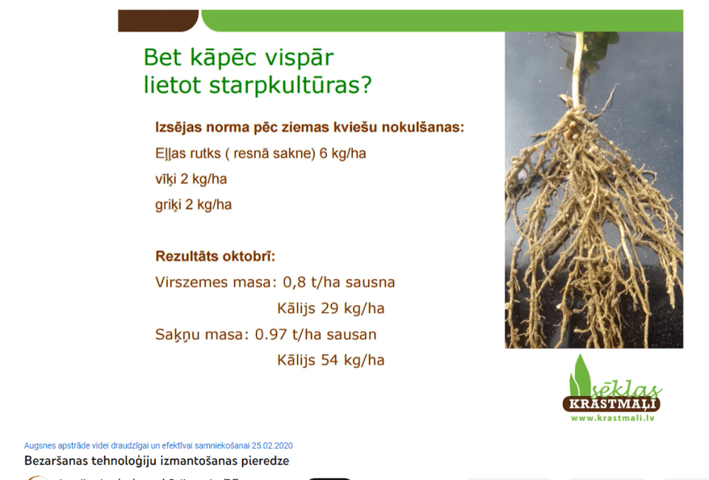 Starpkultūras. SIA “Krastmaļi Sēklas” pieredze. (VIDEO)