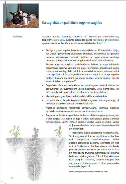 Lauksaimniecības pamatnostādnes (I) (DIGITĀLS)
