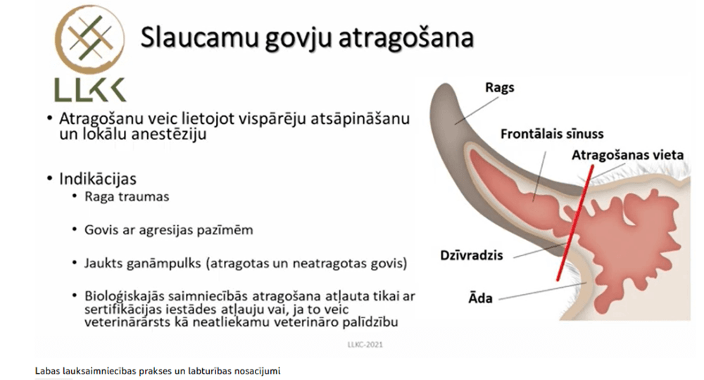 Labas lauksaimniecības prakses nosacījumi un labturības nodrošinājums piena lopkopības saimniecībās (II)