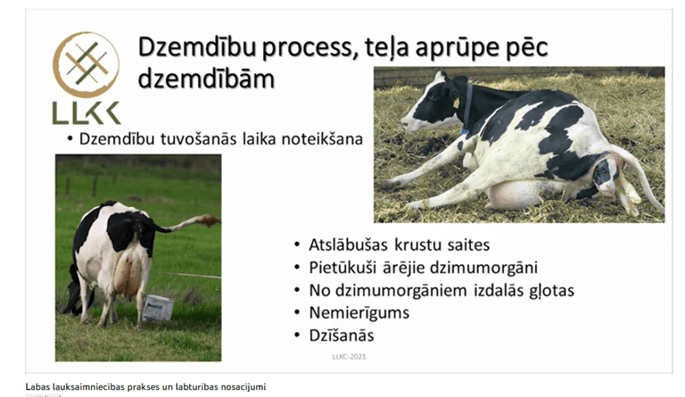 Labas lauksaimniecības prakses nosacījumi un labturības nodrošinājums piena lopkopības saimniecībās (II)