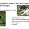 Labas lauksaimniecības prakses nosacījumi un labturības nodrošinājums piena lopkopības saimniecībās (II)