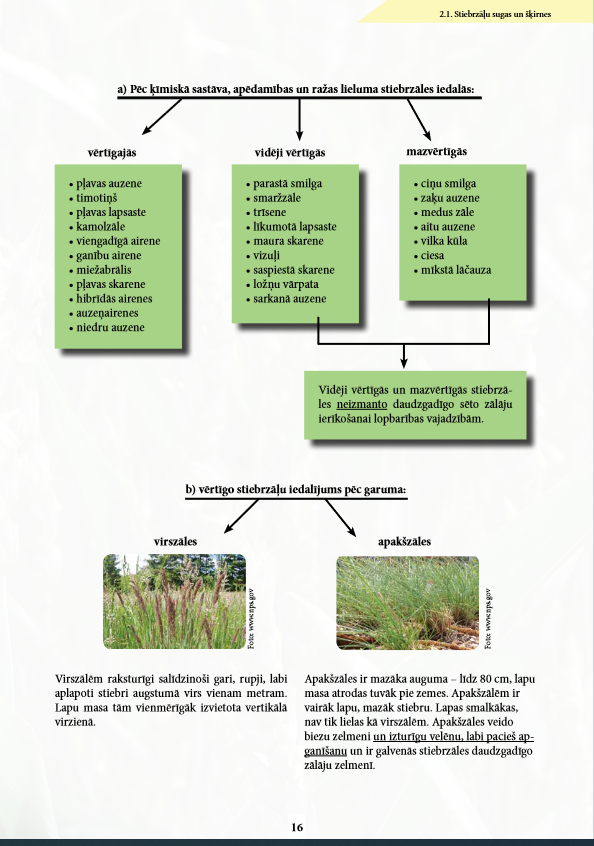 Zālāju rokasgrāmata (DIGITĀLS)
