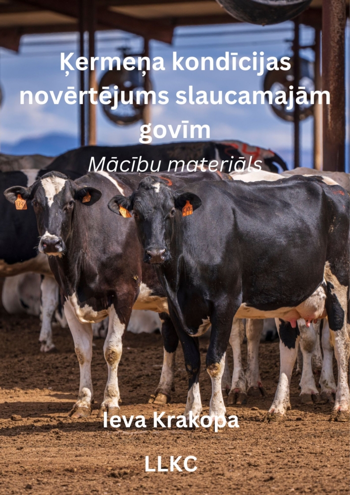 Ķermeņa kondīcijas novērtējums slaucamajām govīm