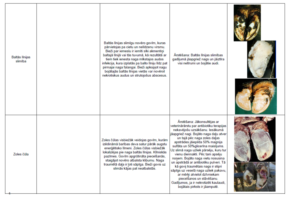 Biežāk izplatītās slimības liellopu ganāmpulkos