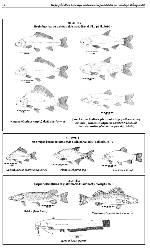 Karpu polikultūra Centrālajā un Austrumeiropā, Kaukāzā un Vidusāzijā (DIGITĀLS)