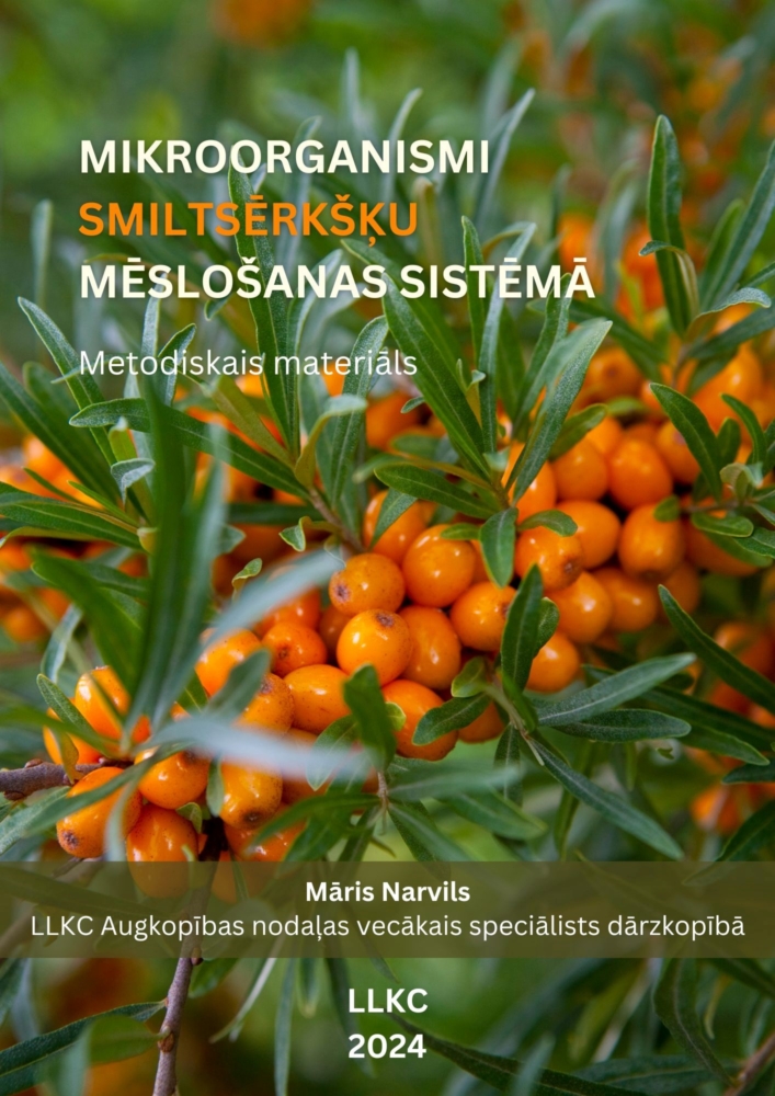 Mikroorganismi smiltsērkšķu mēslošanas sistēmā 2024