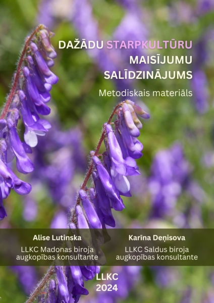Dažādu starpkultūru maisījumu salīdzinājums 2024