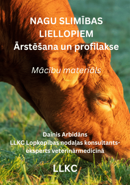 Nagu slimības liellopiem. Ārstēšana un profilakse.