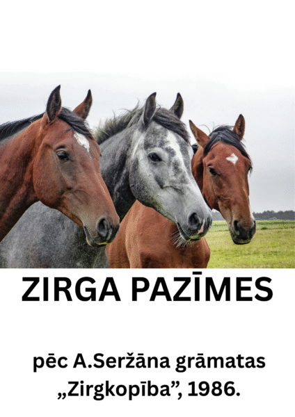 Zirga pazīmes