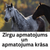 Zirgu apmatojums un apmatojuma krāsa