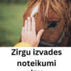 Zirgu izvades noteikumi