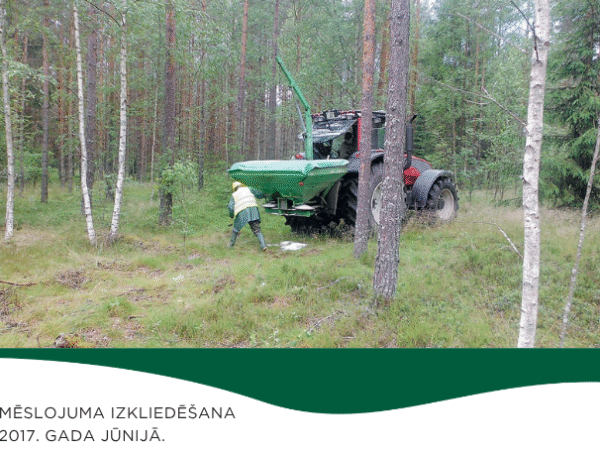 Minerālmēslojuma pielietošana priedes un bērza jaunaudzēs sausieņos un āreņos