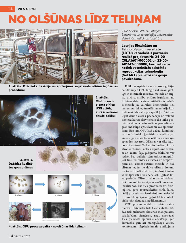 Latvijas Lopkopis (Jūlijs 2025) DIGITĀLS