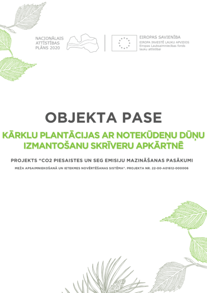Kārklu plantācijas ar notekūdeņu dūņu izmantošanu Skrīveru apkārtnē