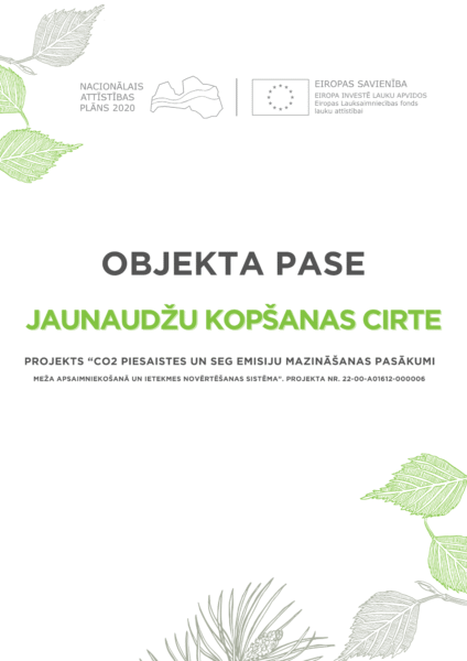 Jaunaudžu kopšanas cirte
