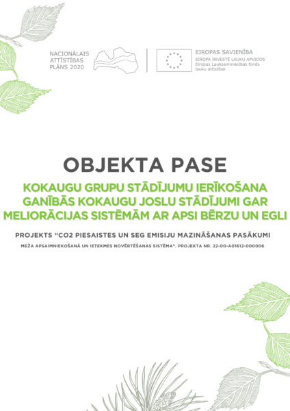 Kokaugu grupu stādījumu ierīkošana ganībās kokaugu joslu stādījumi gar meliorācijas sistēmām ar apsi bērzu un egli