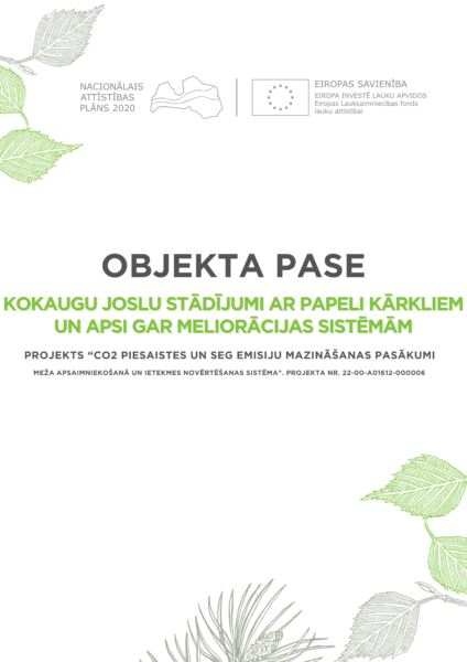 Kokaugu joslu stādījumi ar papeli kārkliem un apsi gar meliorācijas sistēmām