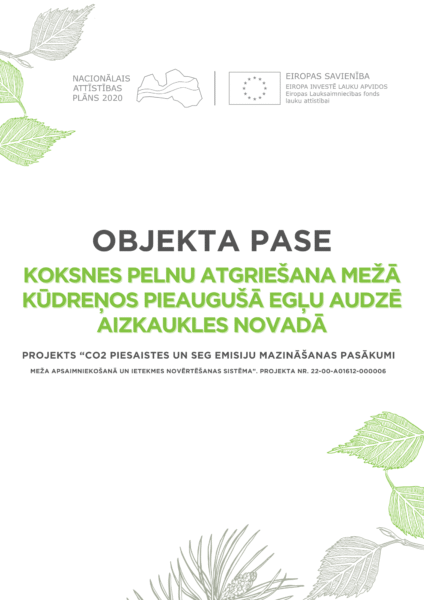 Koksnes pelnu atgriešana mežā kūdreņos pieaugušā egļu audzē Aizkaukles novadā