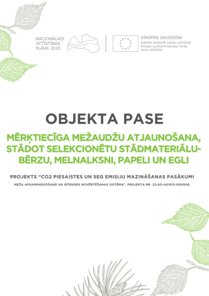 Mērķtiecīga mežaudžu atjaunošana, stādot selekcionētu stādmateriālu-bērzu, melnalksni, papeli un egli