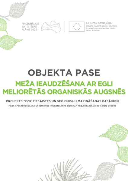 Meža ieaudzēšana ar egli meliorētās organiskās augsnēs