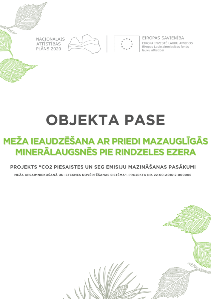 Meža ieaudzēšana ar priedi mazauglīgās minerālaugsnēs pie Rindzeles ezera