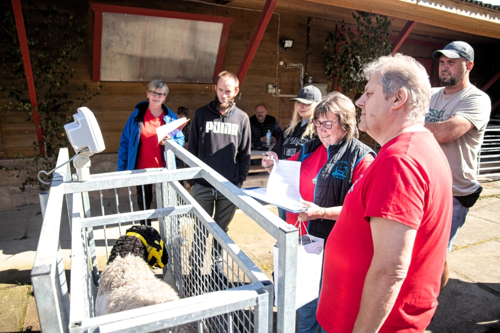 Latvijas Lopkopis (Septembris 2025) DIGITĀLS