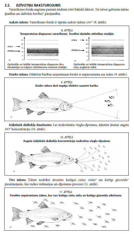 Varavīksnes foreļu audzēšana nelielos apjomos (DIGITĀLS)