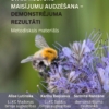 Starpkultūru maisījumu audzēšana – demonstrējuma rezultāti 2025