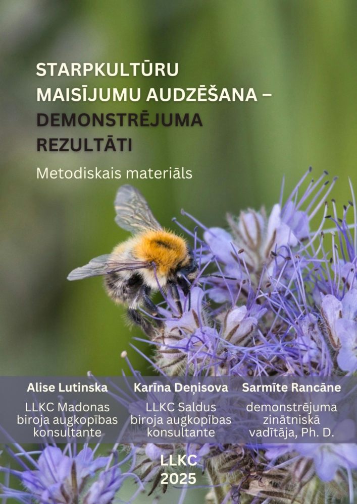 Starpkultūru maisījumu audzēšana – demonstrējuma rezultāti 2025