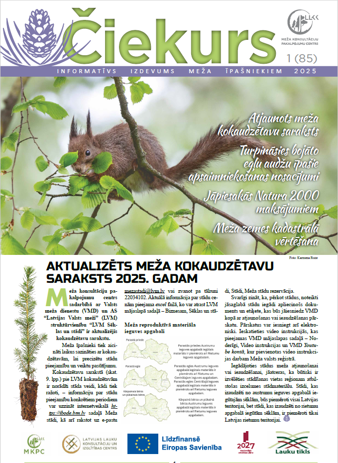 Čiekurs 2025. Pavasaris