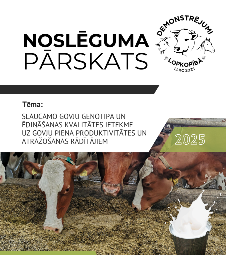 Slaucamo govju genotipa un ēdināšanas kvalitātes ietekme uz govju piena produktivitātes un atražošanas rādītājiem