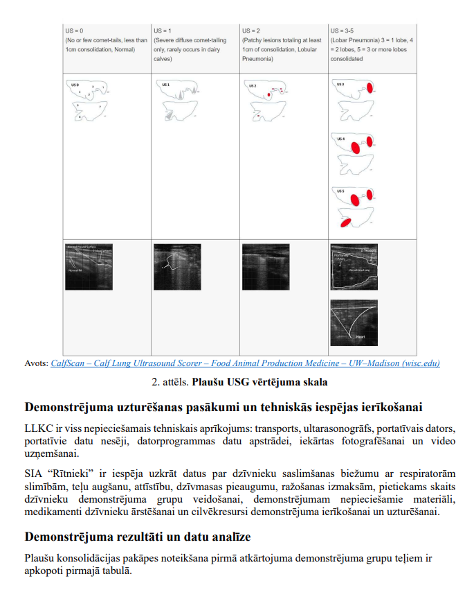 Plaušu bojājumu ietekme uz vaislas teļu augšanas un attīstības potenciālu