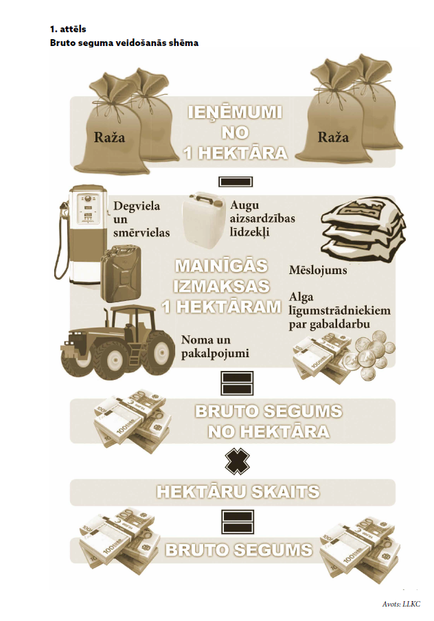 Lauksaimniecības bruto segumu aprēķini par 2024. gadu (DIGITĀLS)