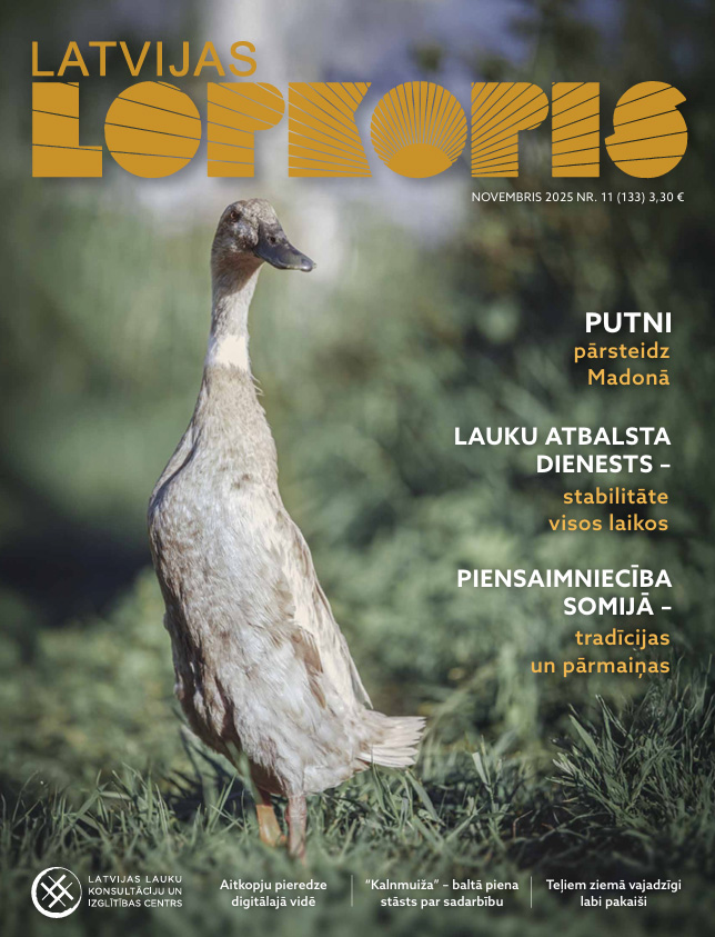 Latvijas Lopkopis (Novembris 2025) DIGITĀLS