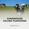 Ganāmpulka lieluma plānošana
