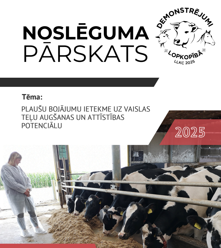 Plaušu bojājumu ietekme uz vaislas teļu augšanas un attīstības potenciālu