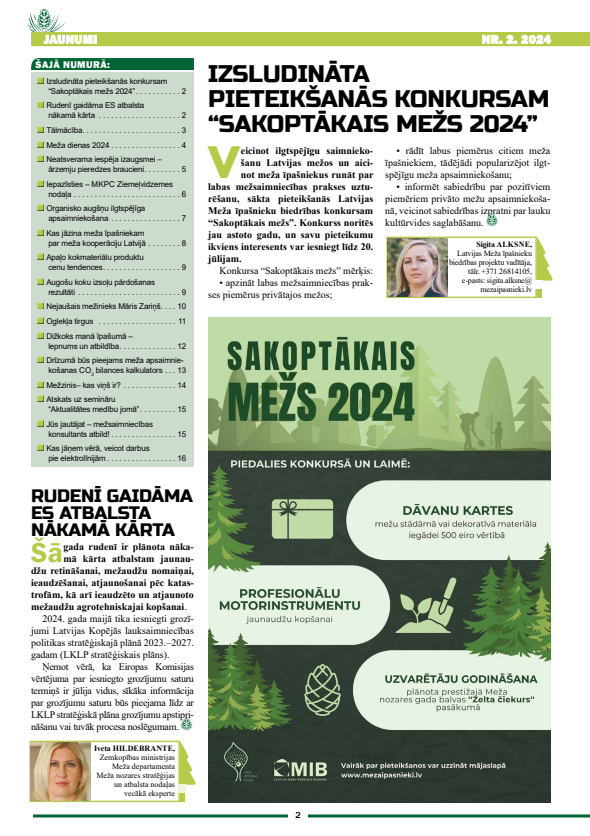 Čiekurs 2024. Vasara