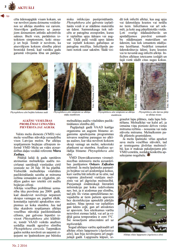 Čiekurs 2016. Vasara