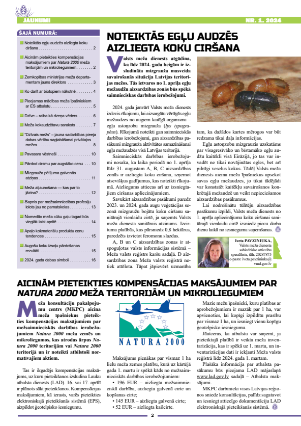 Čiekurs 2024. Pavasaris