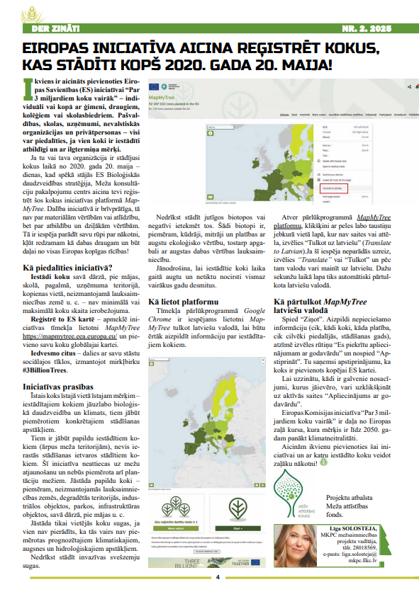 Čiekurs 2025. Vasara