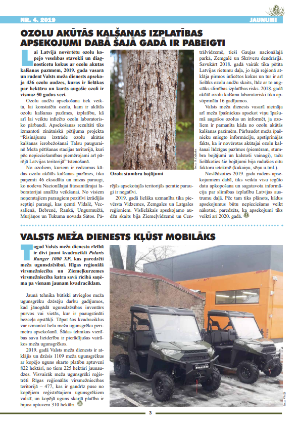 Čiekurs 2019. Ziema