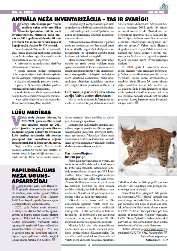 Čiekurs 2020. Ziema