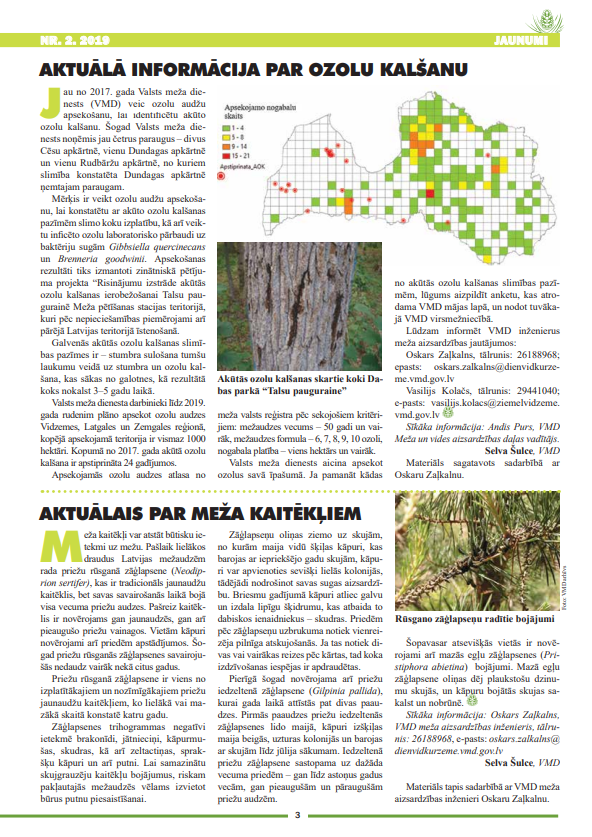 Čiekurs 2019. Vasara