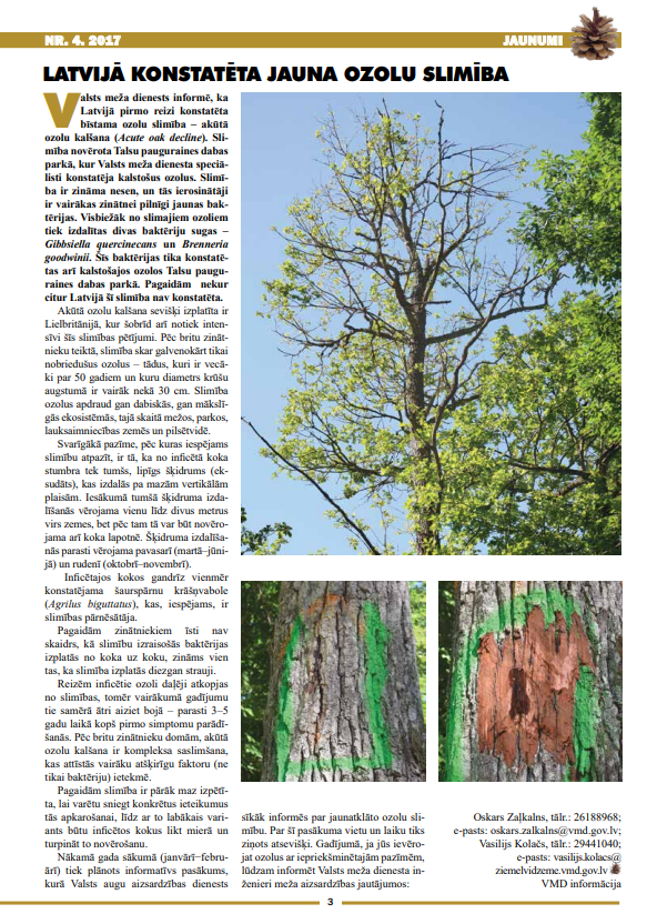 Čiekurs 2017. Ziema