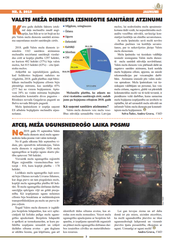 Čiekurs 2019. Rudens