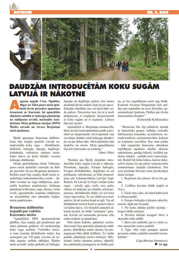 Čiekurs 2019. Rudens