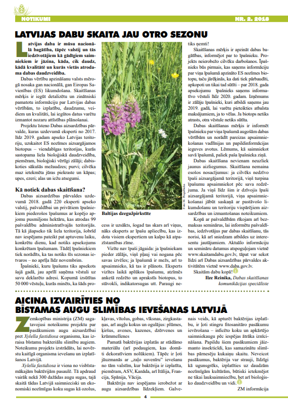 Čiekurs 2018. Vasara