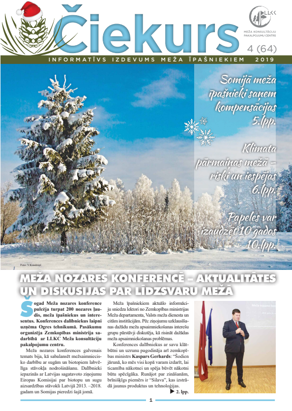 Čiekurs 2019. Ziema