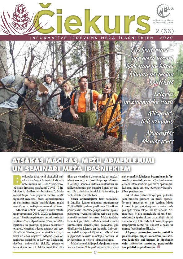 Čiekurs 2020. Vasara